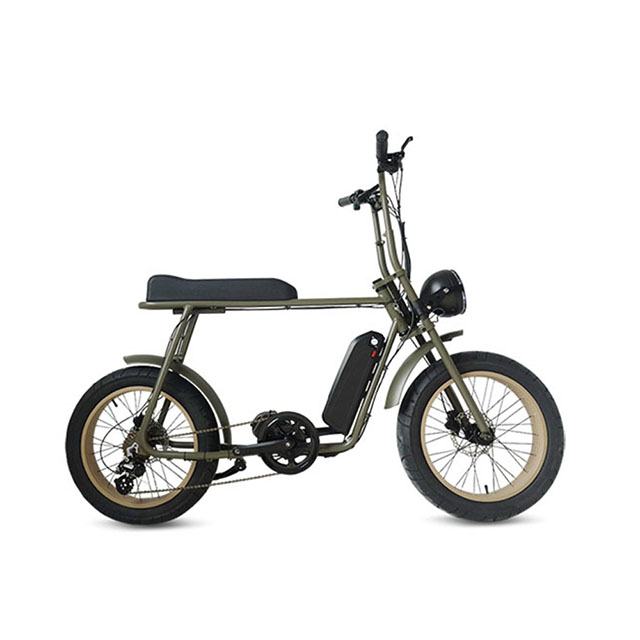 mario ebike price